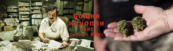 сатива Краснослободск