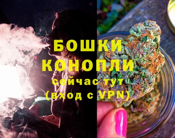 сатива Краснослободск