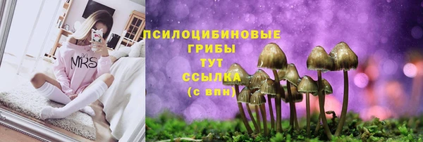 дмт Красноперекопск