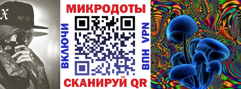 цена наркотик  Городище  Галлюциногенные грибы мухоморы 